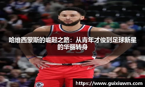完美体育平台
