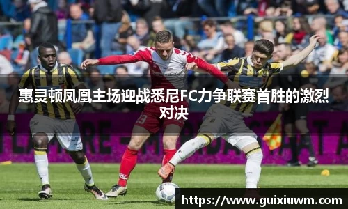 完美体育官网